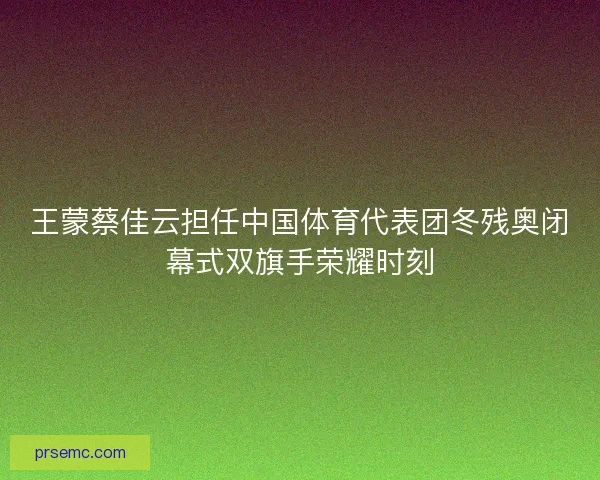 王蒙蔡佳云担任中国体育代表团冬残奥闭幕式双旗手荣耀时刻 王蒙蔡佳云担任中国体育代表团冬残奥闭幕式双旗手荣耀时刻
