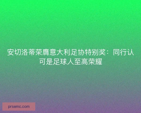 安切洛蒂荣膺意大利足协特别奖：同行认可是足球人至高荣耀